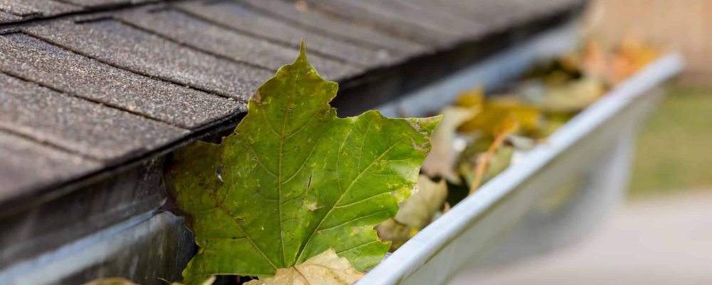 how to clean gutters from the ground main